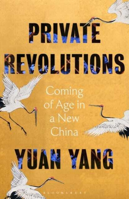 Private Revolutions  Coming of Age in a New China