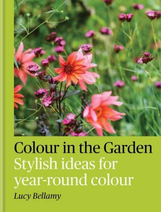 Colour in the Garden Stylish ideas for yearround colour