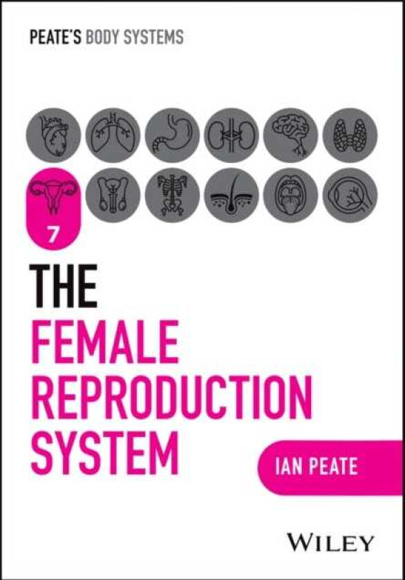 The Female Reproductive System