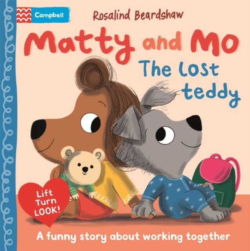 The Lost Teddy A funny story about working together