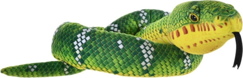 Slangeresss Emerald Tree Boa Corallus Canina 137 cm