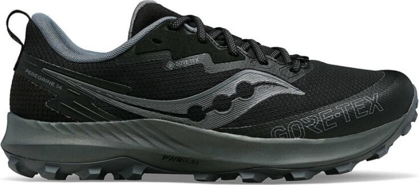 Peregrine 14 GTX Dame Black/Carbon 37