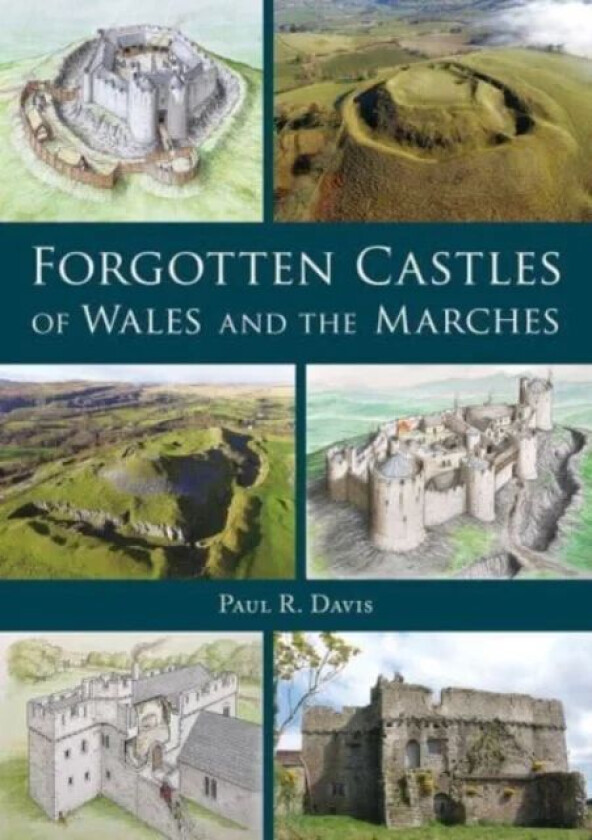 Forgotten Castles of Wales and the Marches av Paul R. Davis