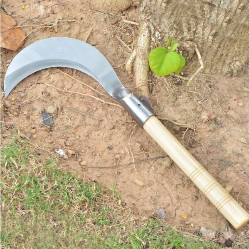 Gress-sigd med sagtannet japansk ugresshakkemiddel Ugressverktøy for hage Rustfritt stål En-stykke støping med hardt massivt trehåndtak