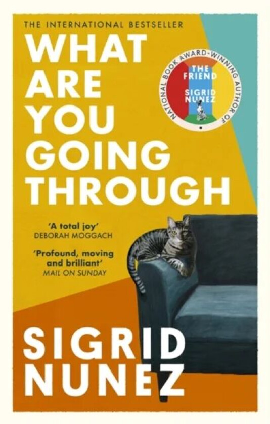 What Are You Going Through av Sigrid Nunez