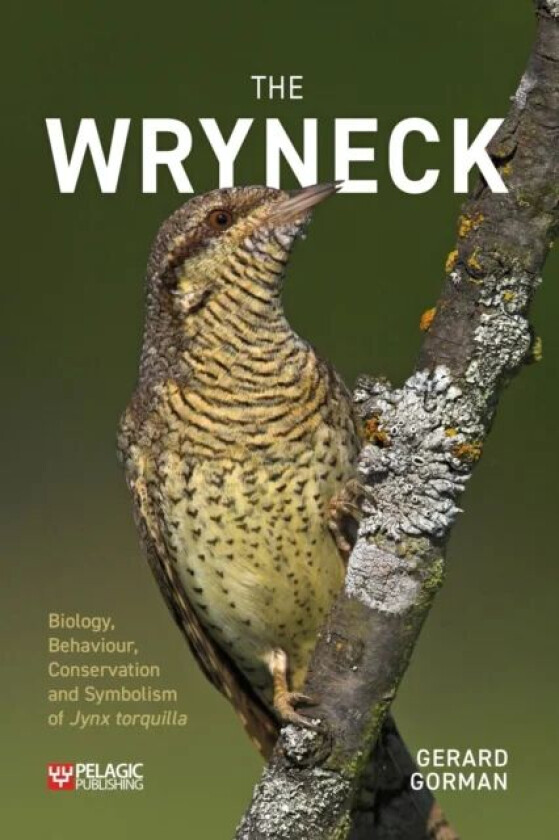 The Wryneck av Gerard Gorman