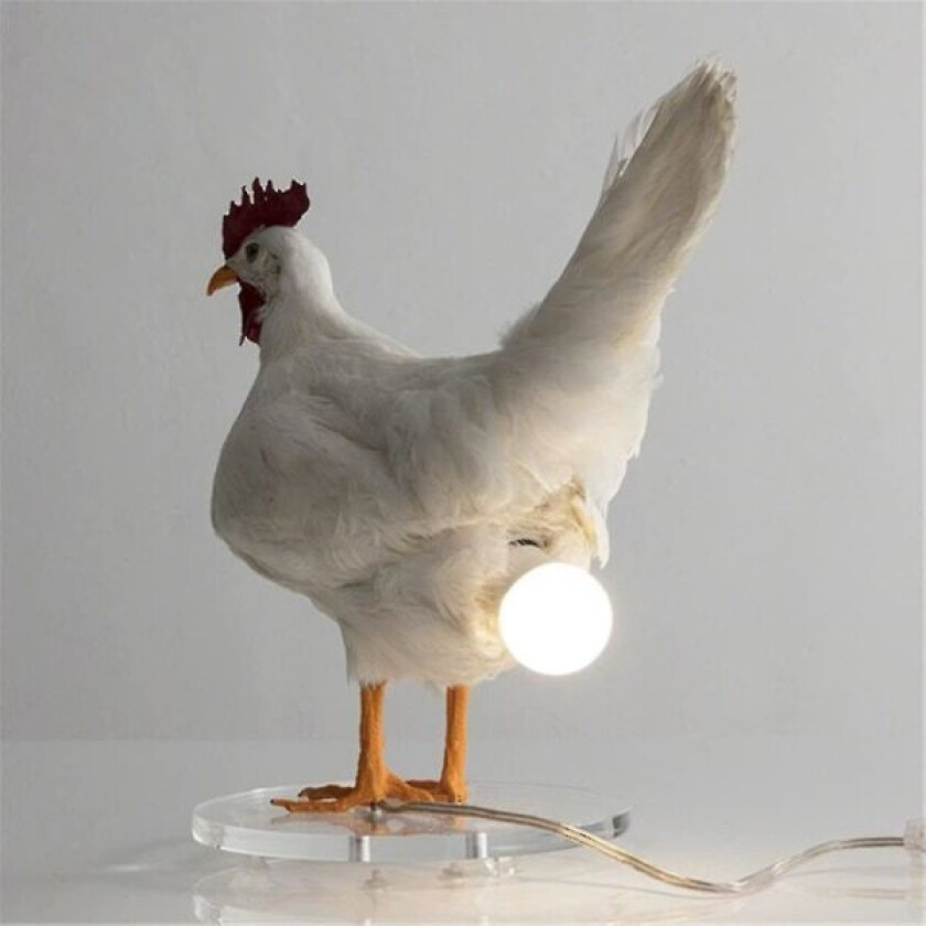 Rl Kylling Led Lampe Egg Nattlampe Taksidermi Egg Skrivebordslampe