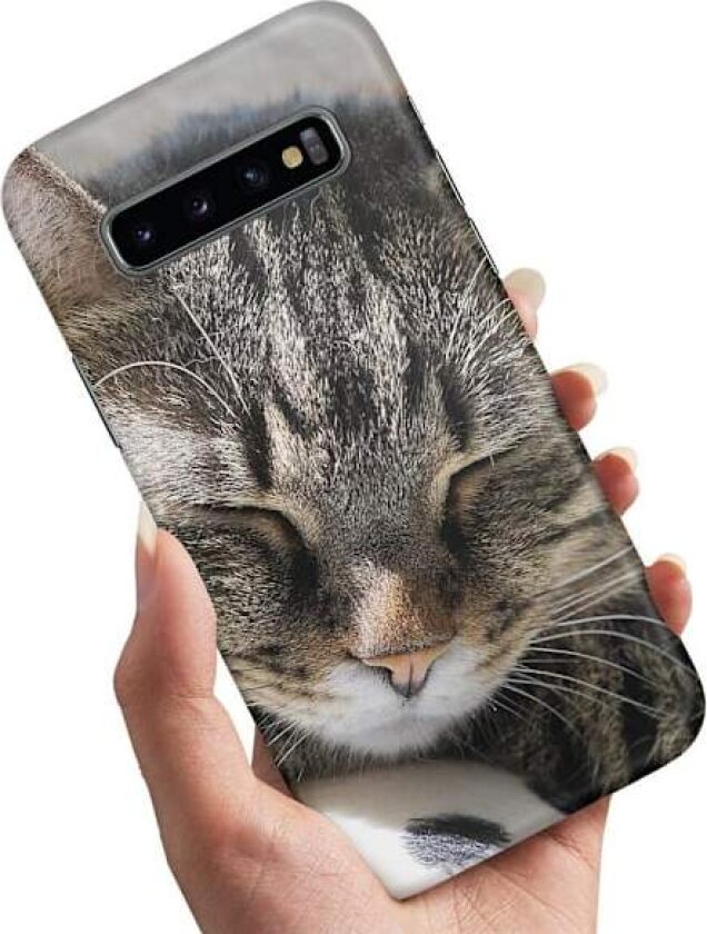 Samsung Galaxy S10 - Deksel/Mobildeksel Sovende Katt