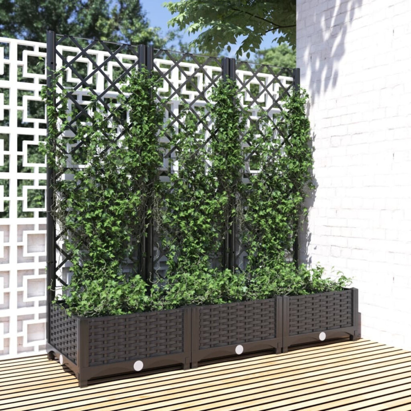 Plantekasse med espalier svart 120x40x121,5 cm PP