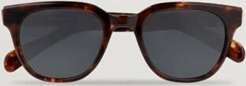 Eyevan 7285 Vadim Sunglases Tortoise