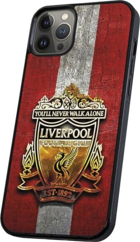 iPhone 11 Pro - Deksel/Mobildeksel Liverpool Multicolor