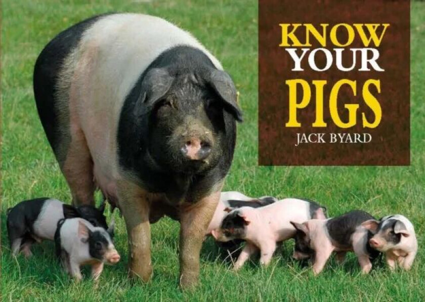 Know Your Pigs av Jack Byard