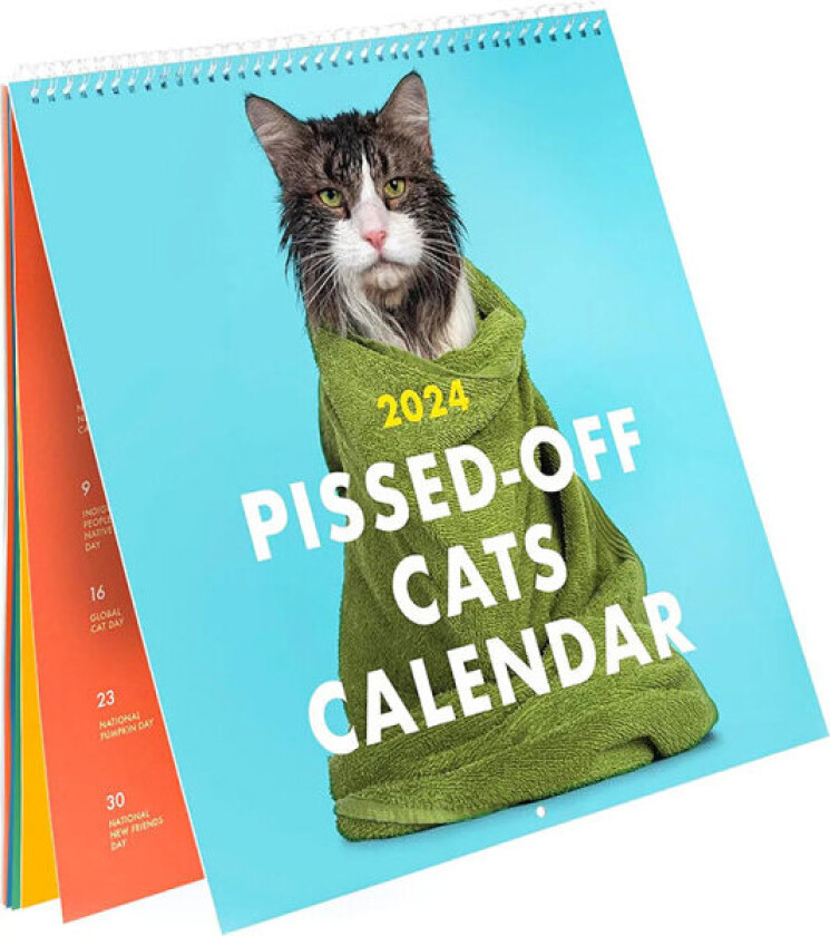 2024 Artig Katt Kalender Morsom Veggkunst Kalender Forbanna Katter H A 1PC