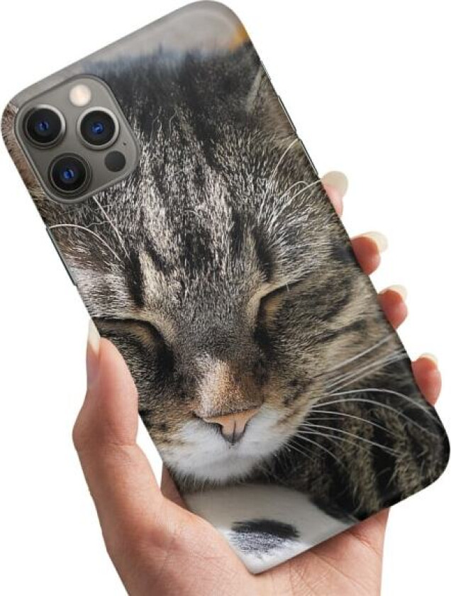 iPhone 15 Pro Max - Deksel/Mobildeksel Sovende Katt