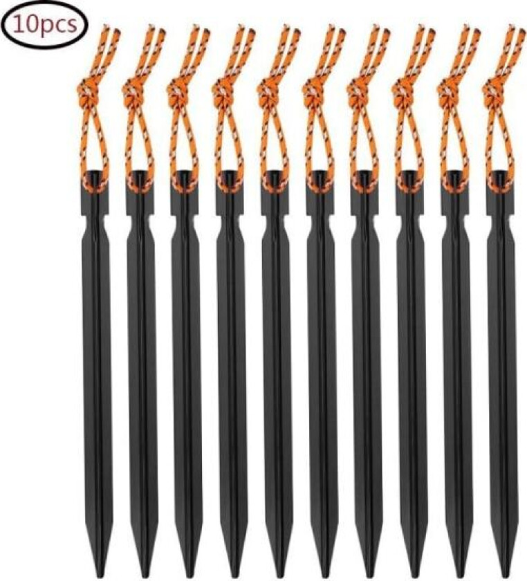 Teltplugger, bånd og oppbevaringsposer, 10 stk