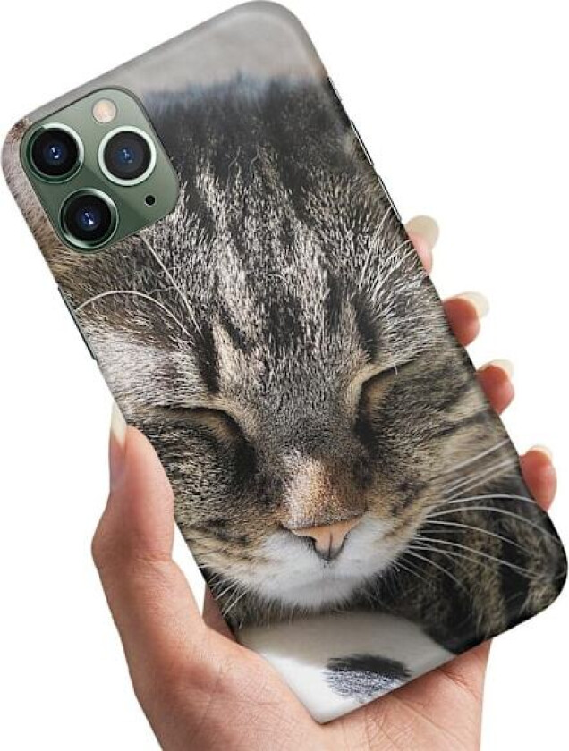 iPhone 11 - Deksel/Mobildeksel Sovende Katt