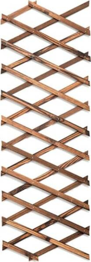 Trellis veggplanter i tre, utvidbar espalier for klatreplanter og vinstokker H44cm