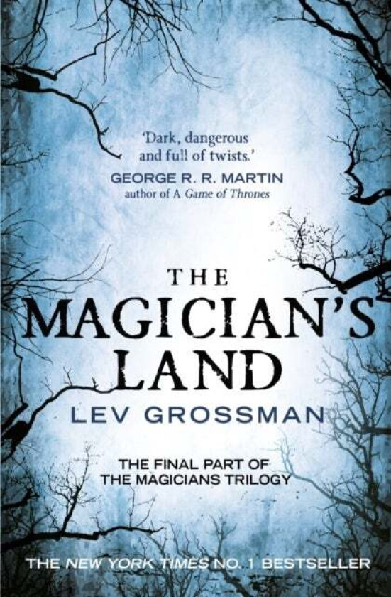 The Magician's Land. Book 3 av Lev Grossman