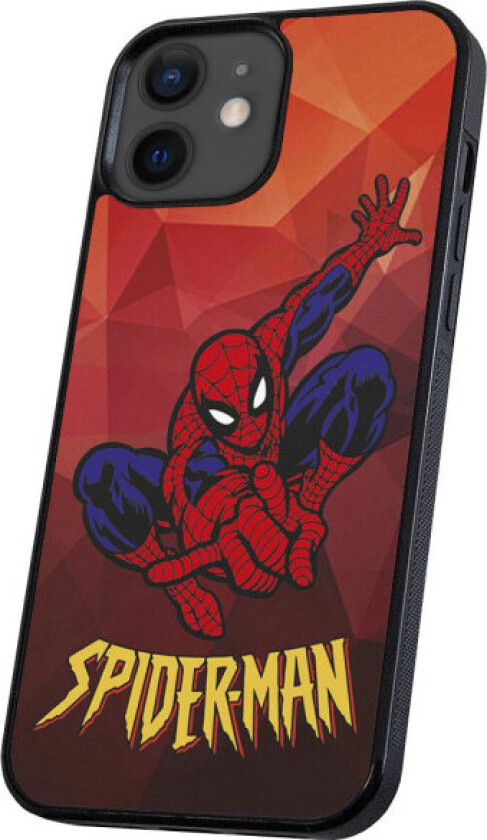 iPhone 11 - Deksel/Mobildeksel Spider-Man Multicolor