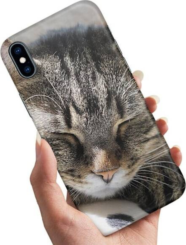 iPhone X/XS - Deksel/Mobildeksel Sovende Katt