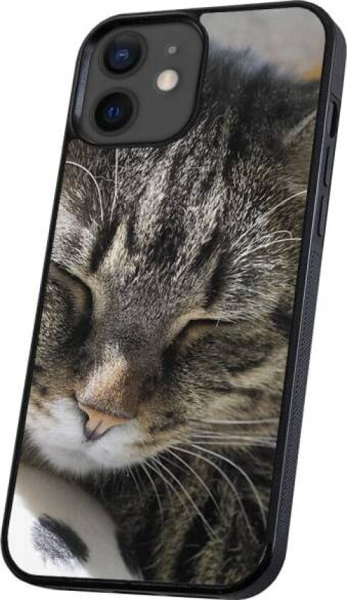 iPhone 11 - Deksel/Mobildeksel Sovende Katt Multicolor