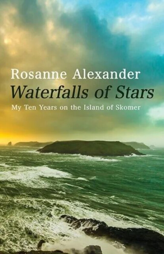 Waterfalls of Stars av Rosanne Alexander