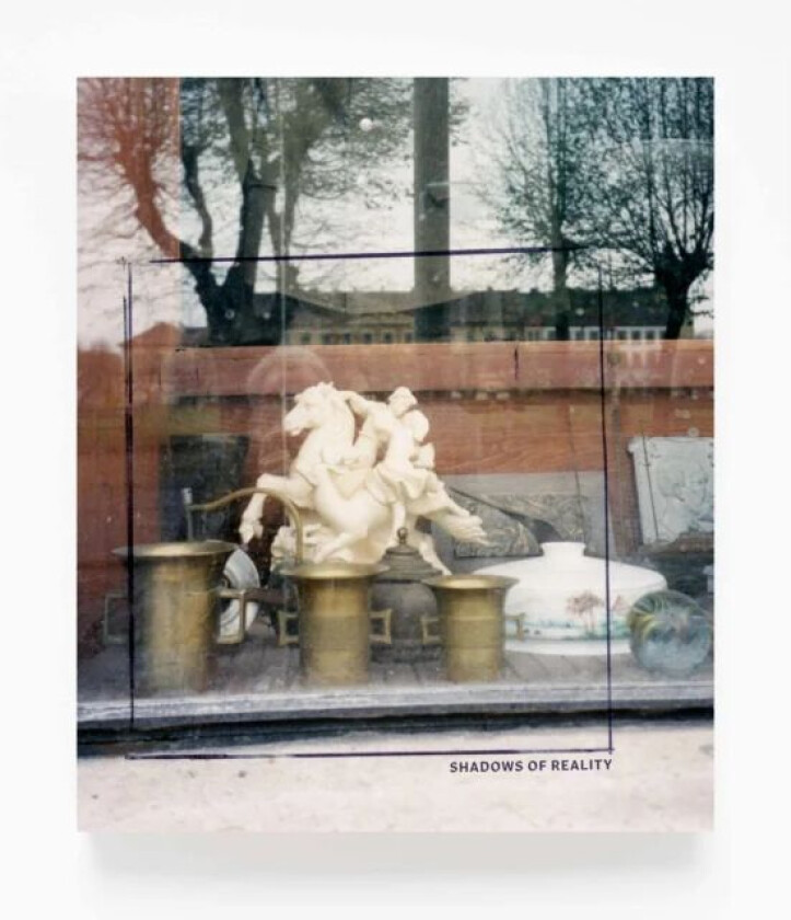 Shadows of Reality av W. G. Sebald