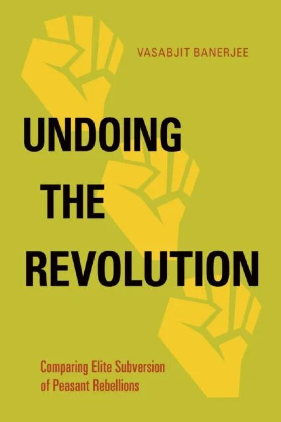 Undoing the Revolution av Vasabjit Banerjee