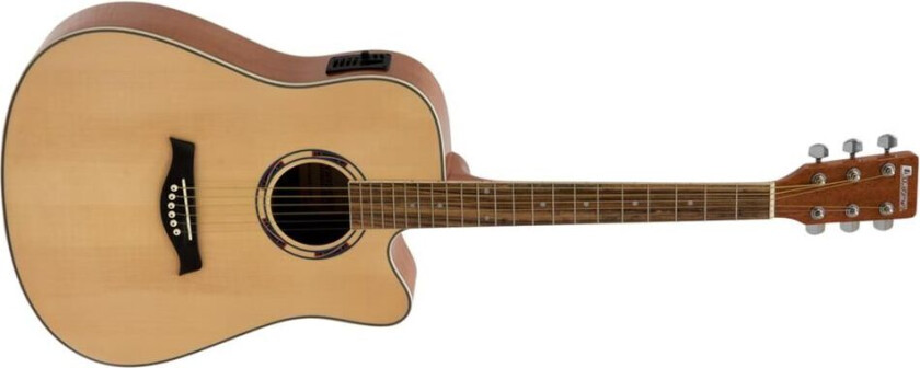 Jk-500 Western Guitar Cutaway, Nature