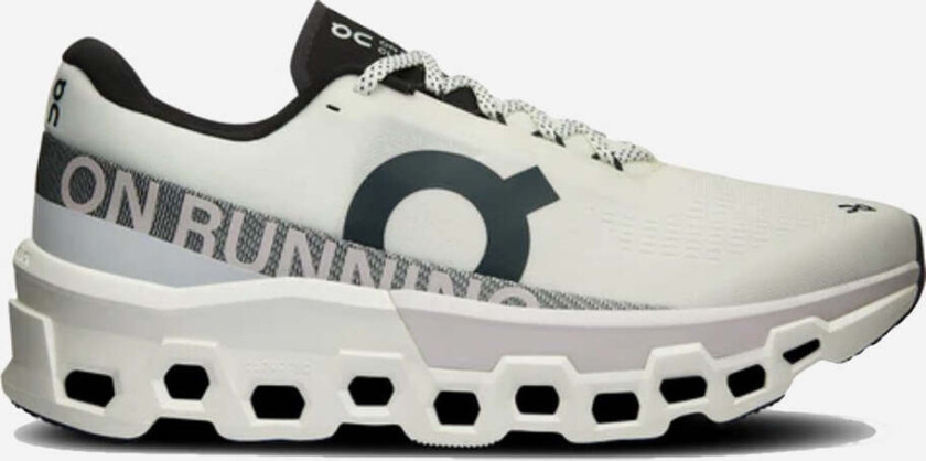 Cloudmonster 2 Herre White/Frost 42