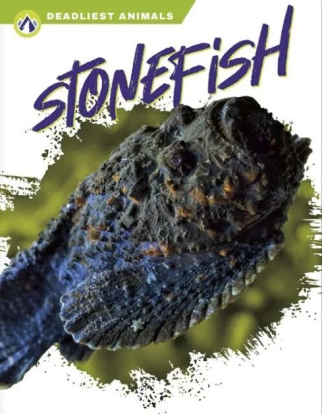 Deadliest Animals: Stonefish av Golriz Golkar