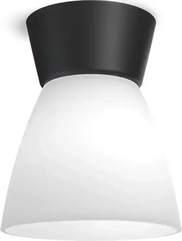 Bizzo tak D165 matt svart/opalglass E27