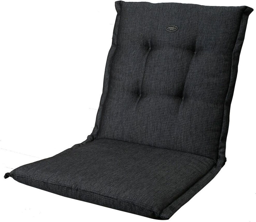 Canyon Universaldyne Asfaltgrå