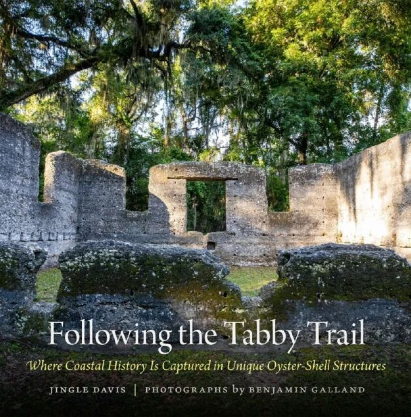Following the Tabby Trail av Jingle Davis, Benjamin Galland