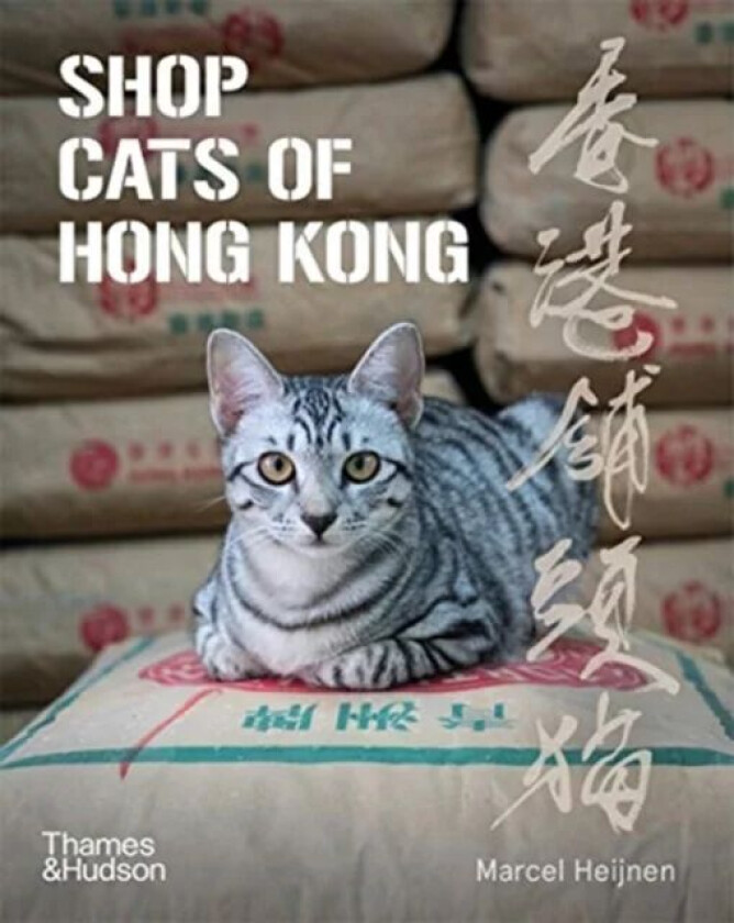 Shop Cats of Hong Kong av Marcel Heijnen