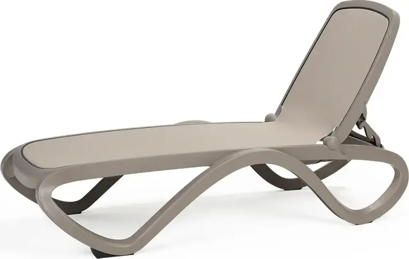 Omega solseng Tortora Tortora