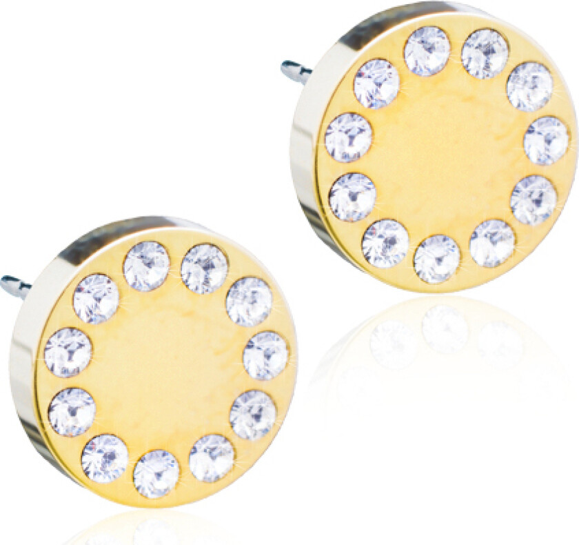 Øredobber i medisinsk titan med Swarovski krystaller