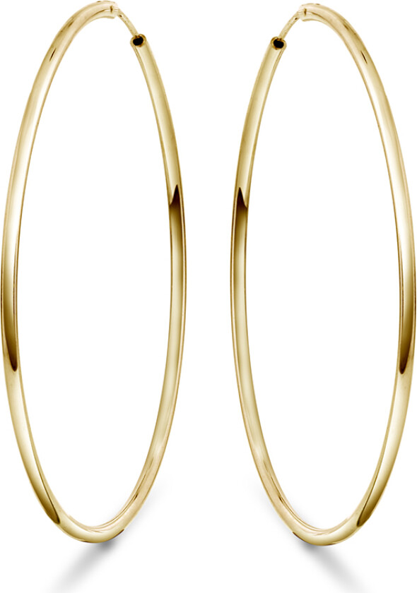 Øreringer i forgylt 925 sølv