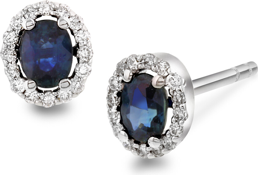 Bilde av Øredobber i 585 hvitt gull med diamanter 0,10 ct og safir