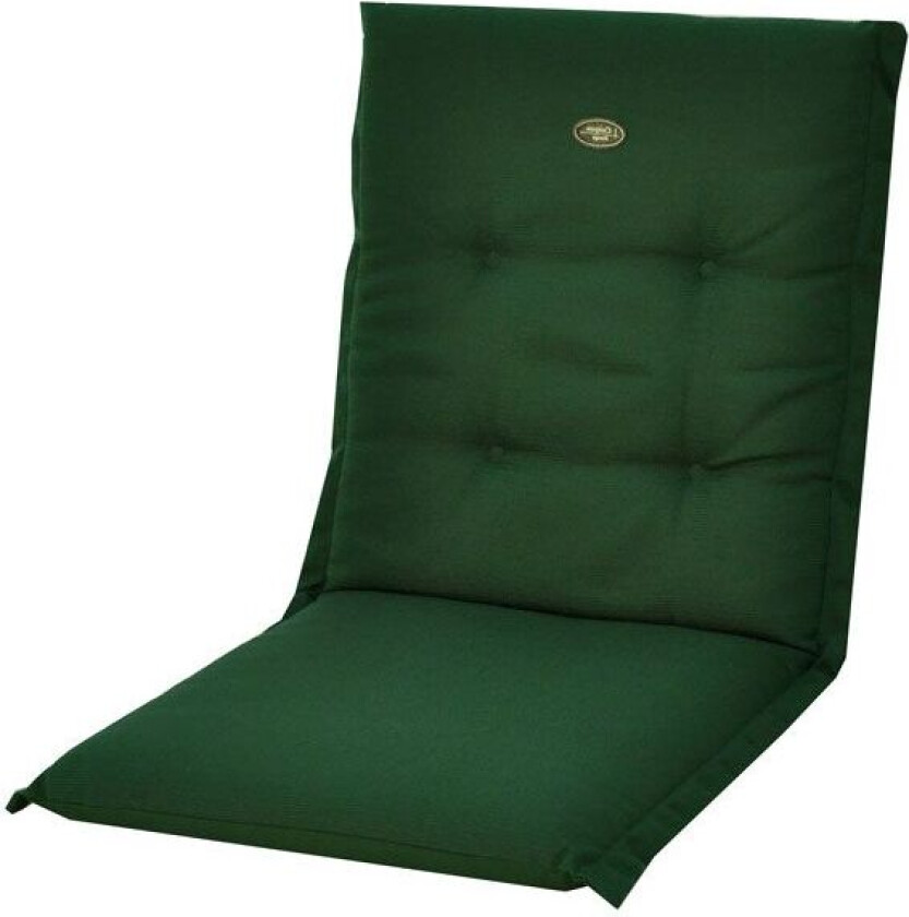 Canyon Universaldyne Grønn