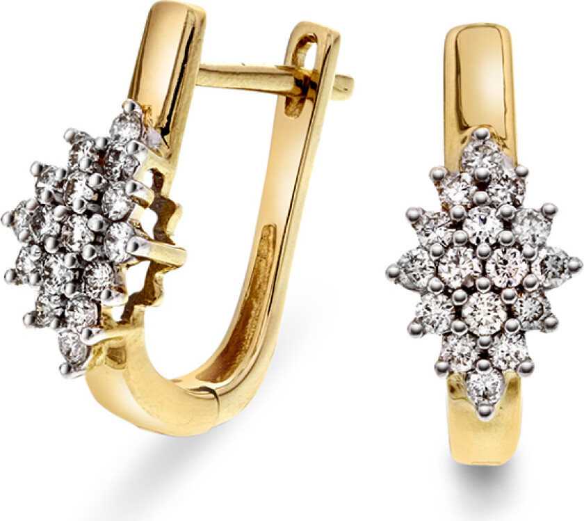 Øreringer i 585 gult gull med diamanter 0,33 ct