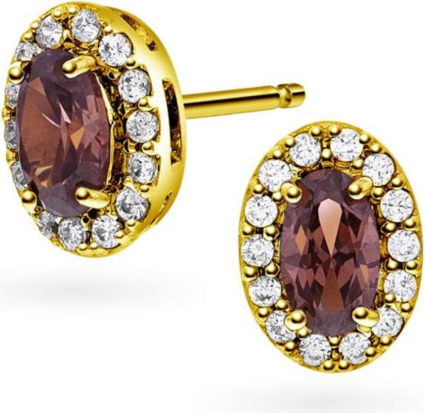 Athens Charm øredobber i forgylt 925 sølv med brun zirkona