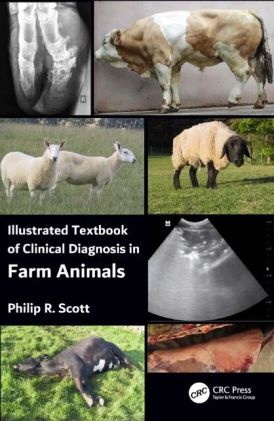 Illustrated Textbook of Clinical Diagnosis in Farm Animals av Philip R (Edinburgh Veterinary School) Scott