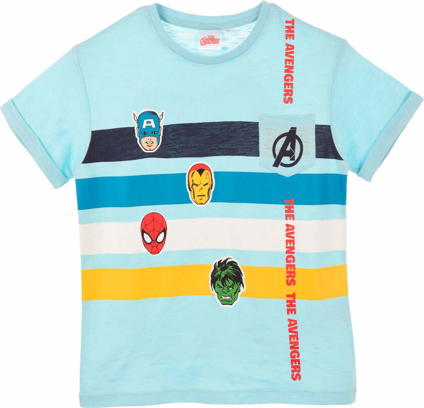 Classic T-skjorte, Light Blue, 8 år - T skjorter & Topper - 100% Bomull