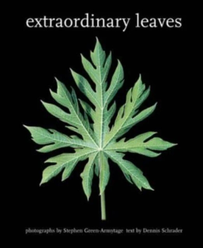 Extraordinary Leaves av Dennis Schrader