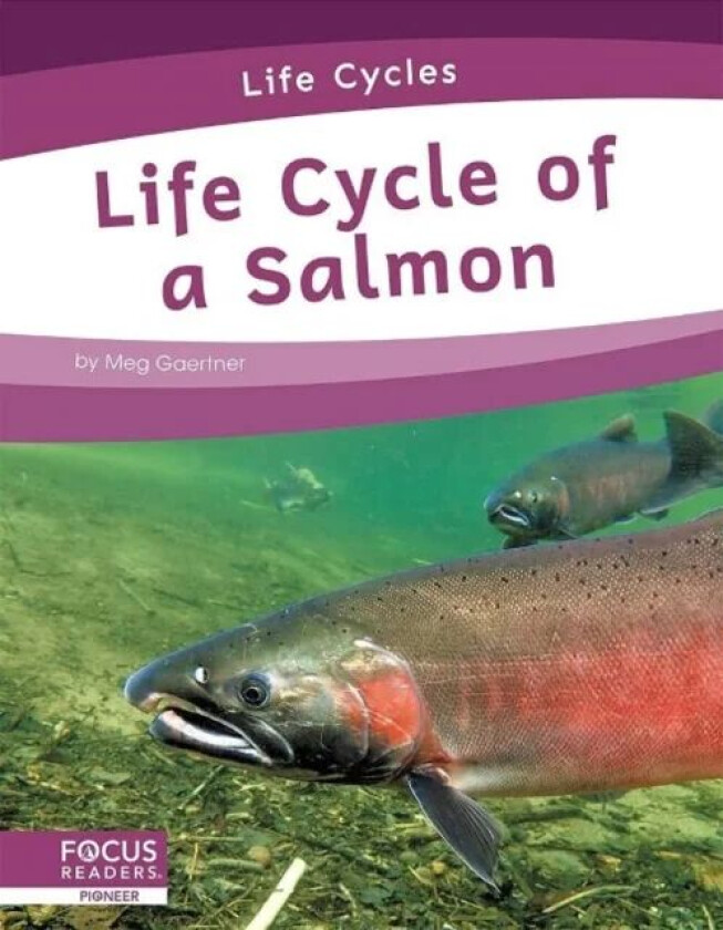 Life Cycles: Life Cycle of a Salmon av Meg Gaertner