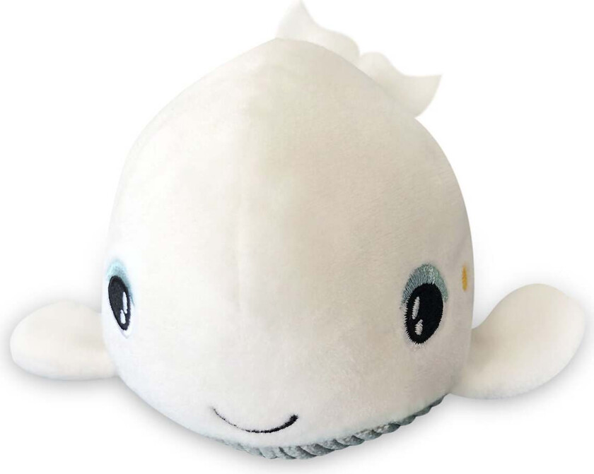 Nattlampe Skakis Hval - Nattlamper