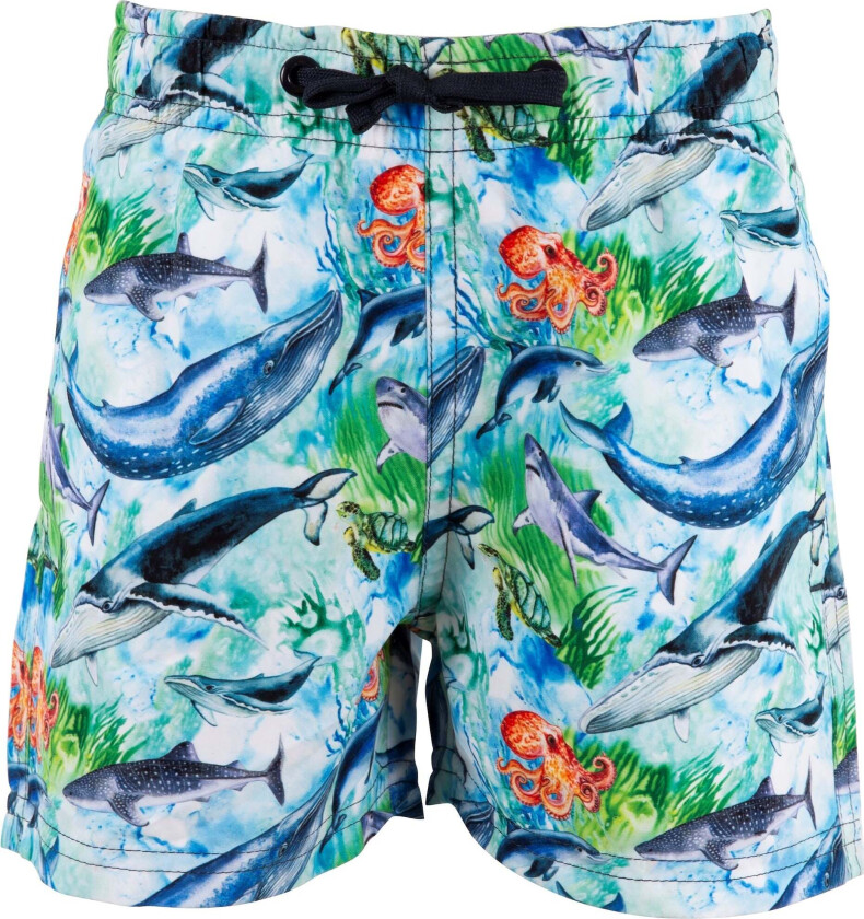 Max Badeshorts, Light Aqua, 92 - Badetøy