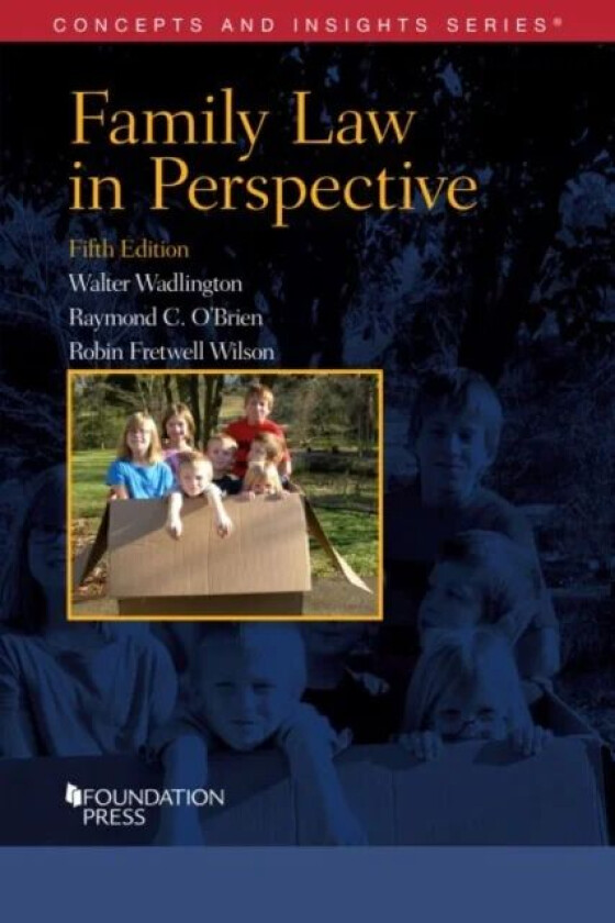 Family Law in Perspective av Walter Wadlington, Raymond C. O'Brien, Robin Fretwell Wilson