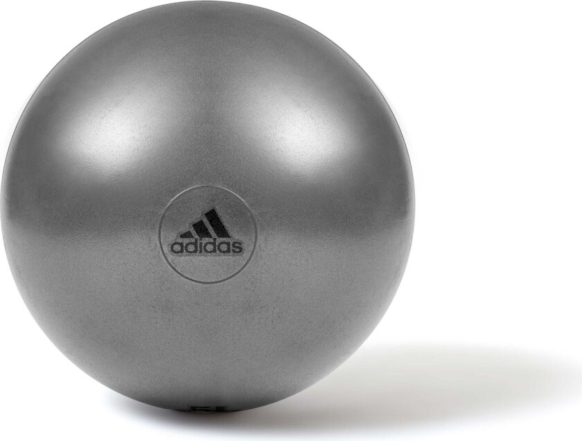 Bilde av Pilatesball Ø 55cm, Grå - Yoga & Pilates